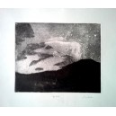 WAJDA Anna  Bez tytułu Epidiant, 42x48 cm